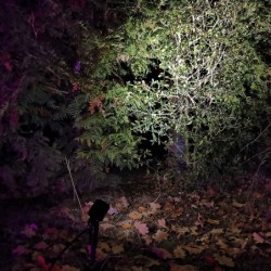 GARTUS LED RGB+W Faretto da giardino 10W 12V IP65 GARTUS LED RGB+W Faretto da giardino 10W 12V IP65