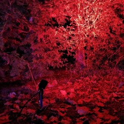 Foco de jardín GARTUS LED RGB+W 10W 12V IP65 Foco de jardín GARTUS LED RGB+W 10W 12V IP65