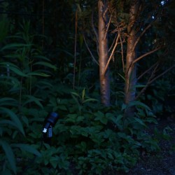spot de jardin LED 6W "Cypress" Blanc chaud 12V IP68 spot de jardin LED 6W "Cypress" Blanc chaud 12V IP68