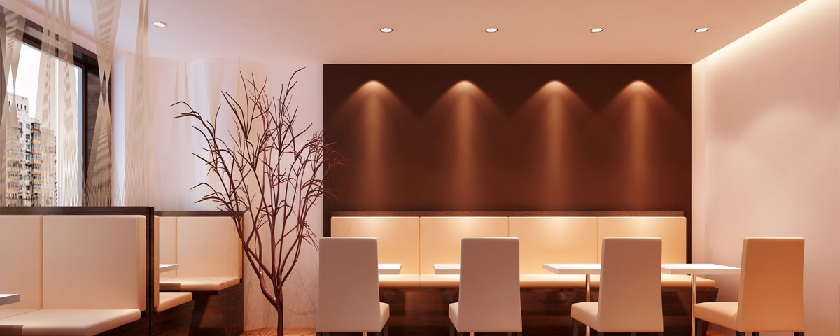 LED Recessed Light